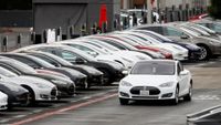 teslas